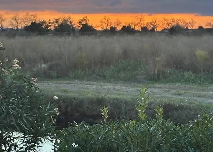 Apartment A&g Elettra Flat A Pochi Passi Dal Mare E Venezia Cavallino-Treporti