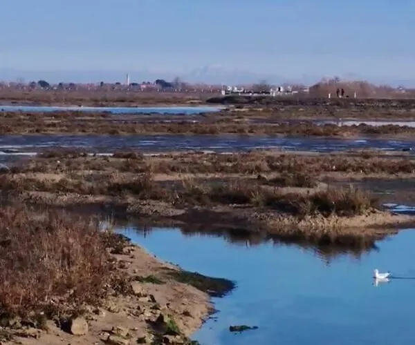 Appartement A&g Elettra Flat A Pochi Passi Dal Mare E Venezia *