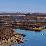 Lejlighed A&g Elettra Flat A Pochi Passi Dal Mare E Venezia *